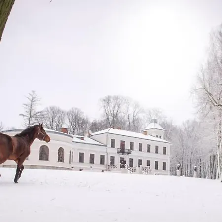 Palac Nogalin Miastkow Koscielny