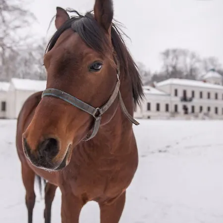 Palac Nogalin Κατάλυμα σε φάρμα Miastkow Koscielny
