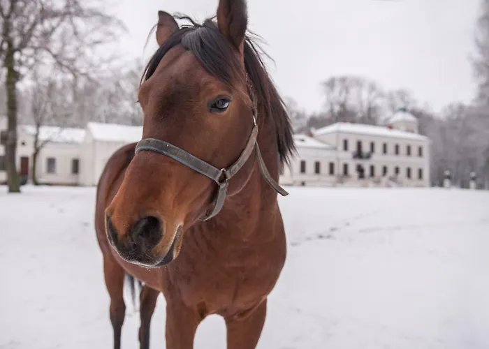 Pałac Nogalin Gospodarstwo agroturystyczne Miastkow Koscielny